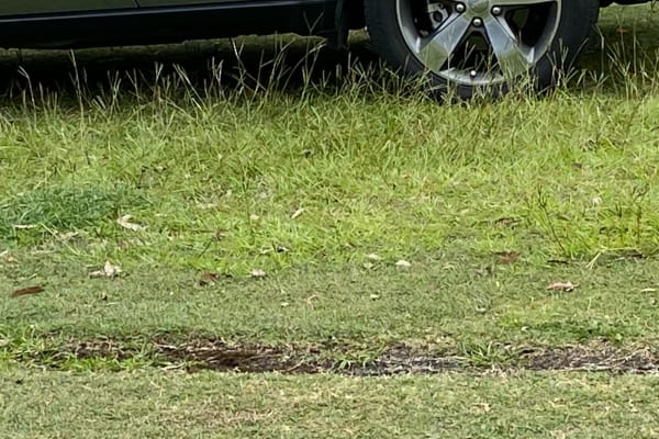 Photo by Louise Le Roux