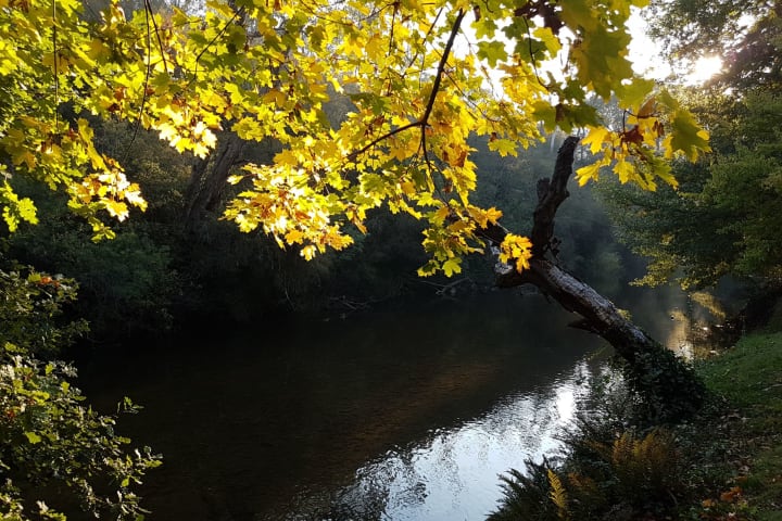 Photo by Fränzi and Tom - Jamieson Caravan Park