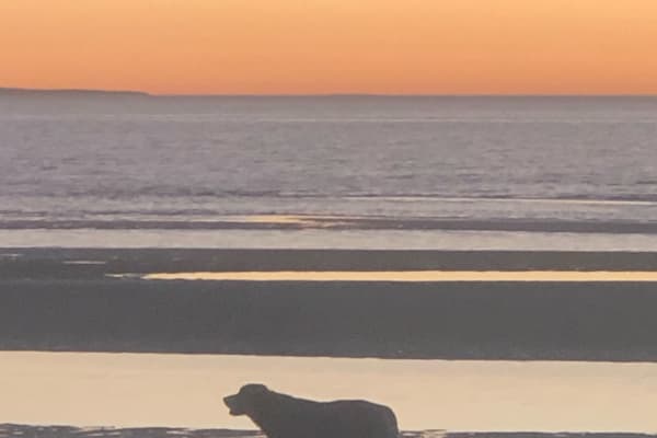 Photo by Kristine H.