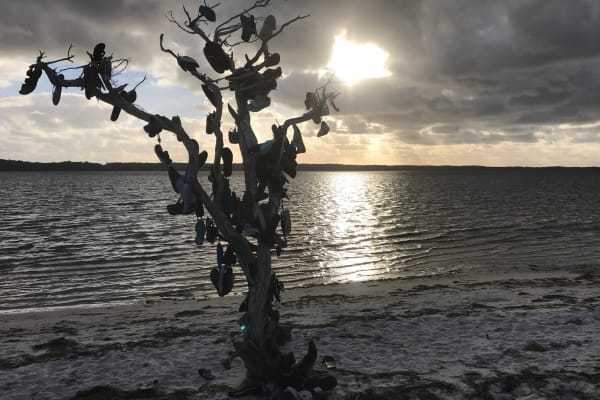 Photo by Donna Shayne Wilkes