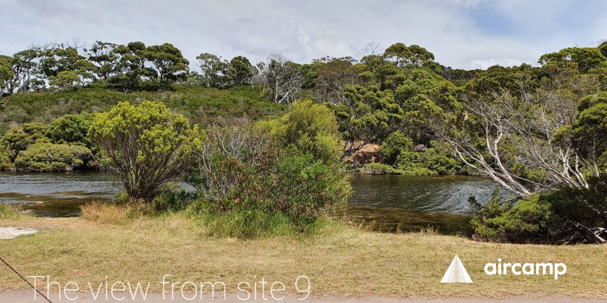 Chapman River East