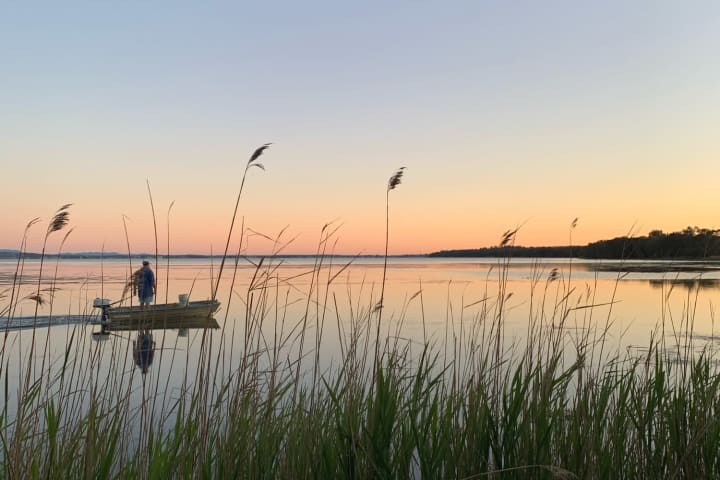 Photo by Catarina A.