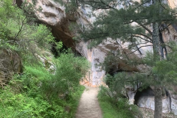 Photo by Henry Thiệp Lê