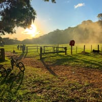 Photo by Argadita G.