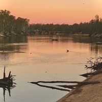 Photo by Michelle F.