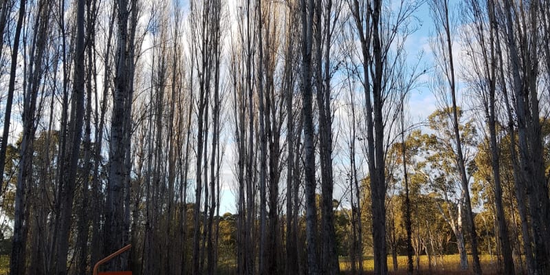 Photo of Mitta Mitta Caravan Park