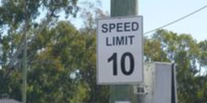 Photo by Michelle C.