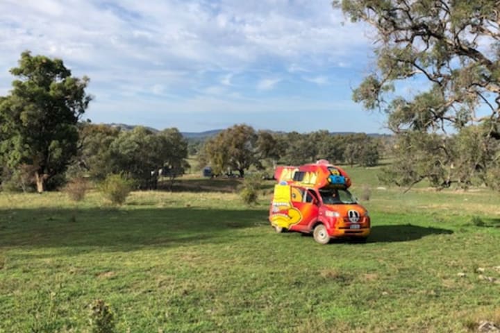 Photo by Sally E NAGEL