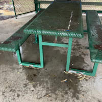 Photo by TassieTraveller