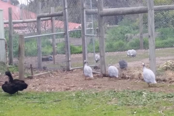 Photo by Jenni-Dawn B.