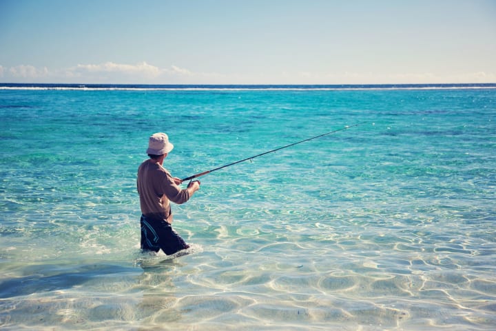 Photo by Marty and Muriel HORAK