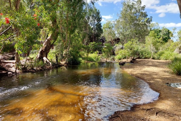 Photo by Kerry and Vicki Petterwood