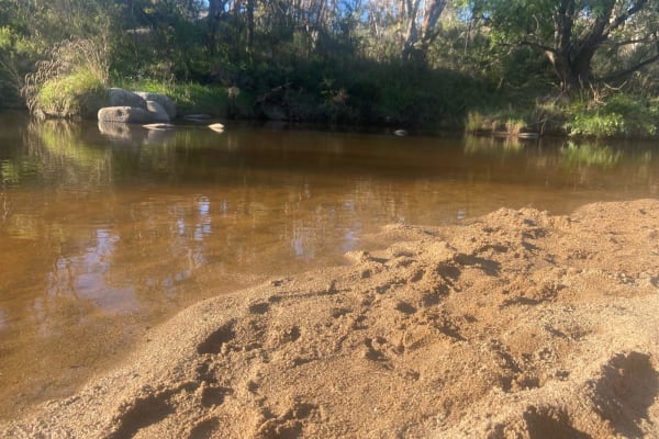 Photo by Stephanie K.