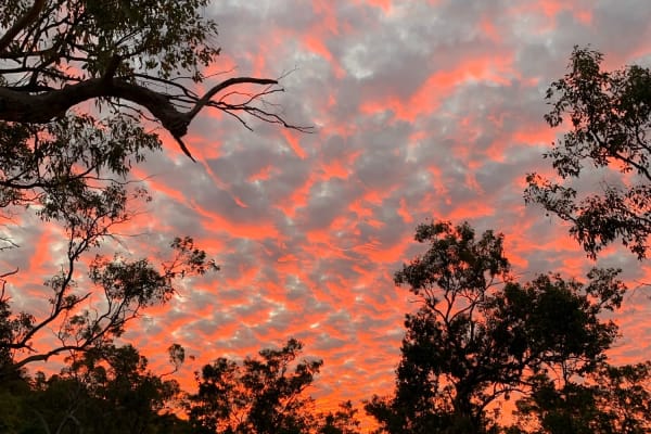 Photo by Corporate to Caravan