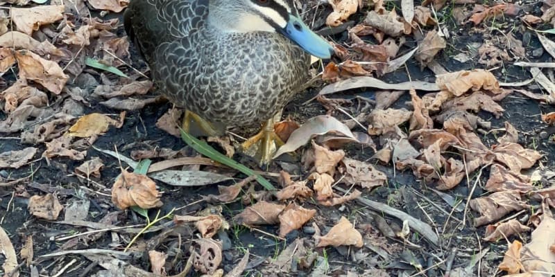 Photo by Camp lover 😍