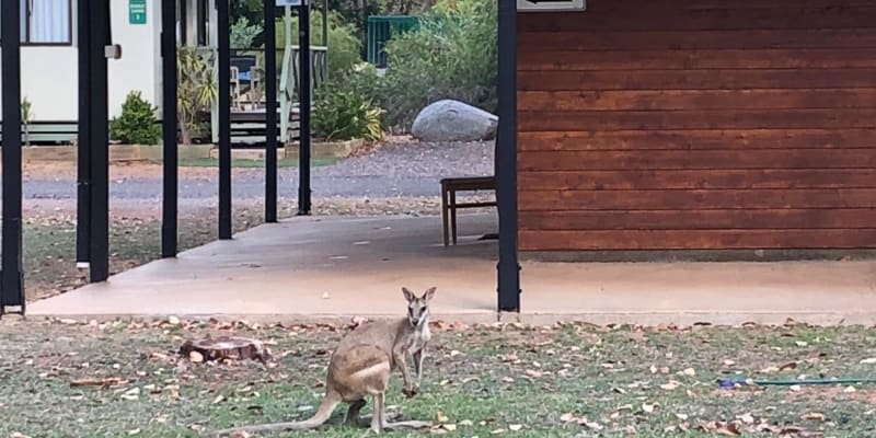 Photo by Marcia Christine Baker