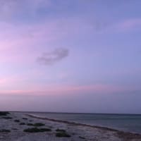 Photo by Jizelle 🌻.