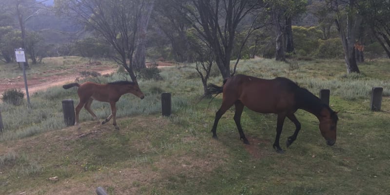 Photo by Elly Claire K