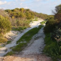 Photo by Four Hands in a Tin Can