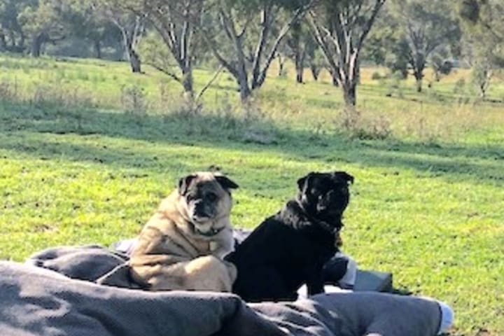 Photo by Sally E NAGEL