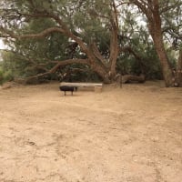 Photo by Maryjane & Luke