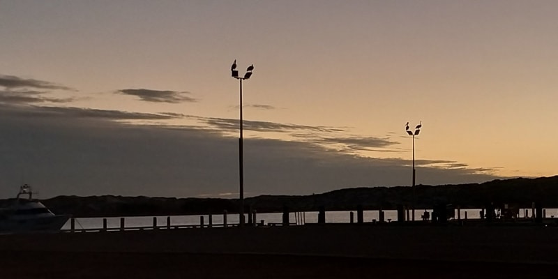 Photo by Colin van den Hoff