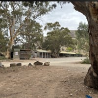 Photo by AnnMaree M.