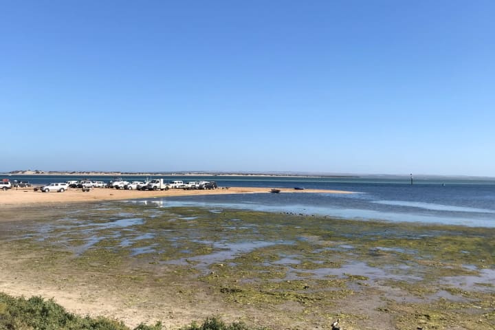 Photo by Nick van Reesema