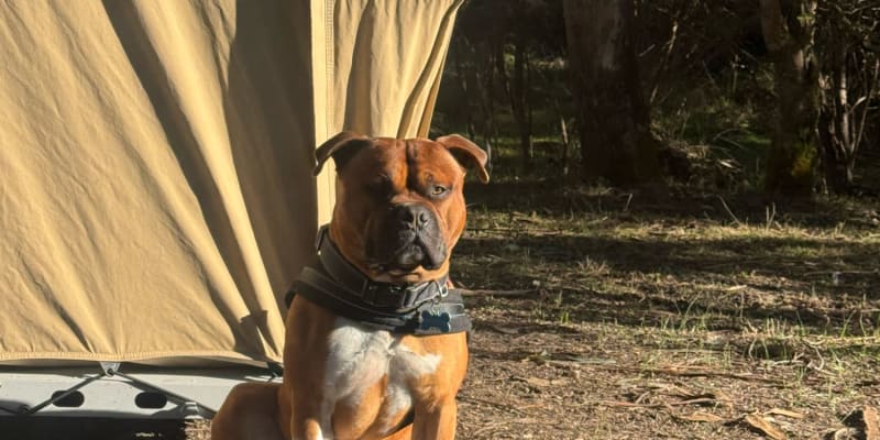 Photo by Paul J Polderman