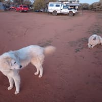 Photo by NightRanger D.