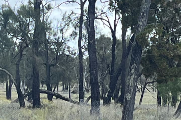 Photo by Mick Fleet Wood