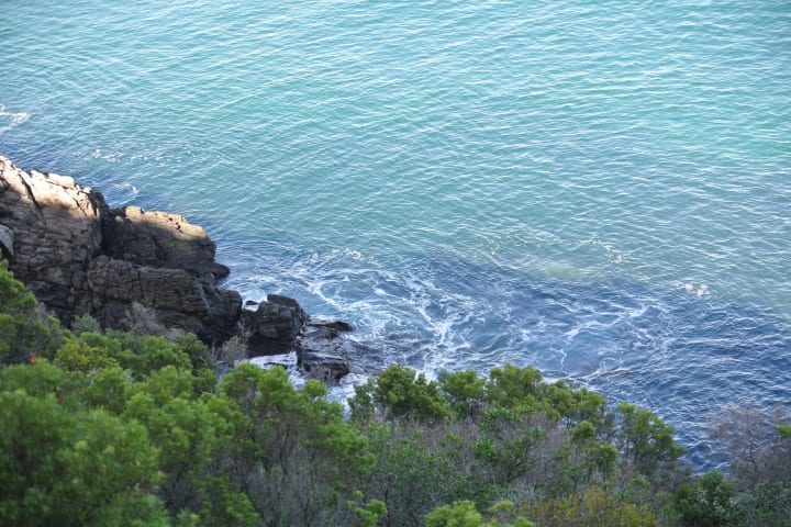 Photo by Brucethegoose