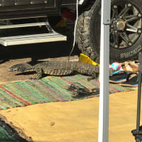 Photo by Brayden Tarj n Aylah Wilson