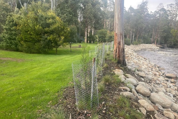 Photo by Samantha k.