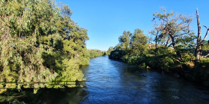 Photo by Ryan and Stevie Richards