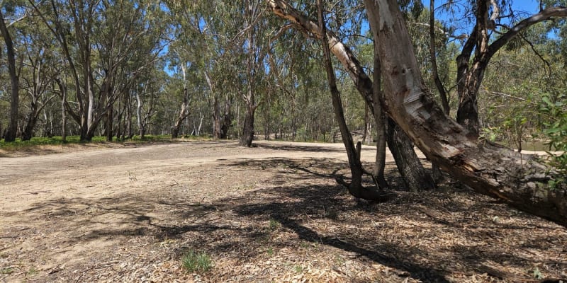 Photo of Dolans Beach