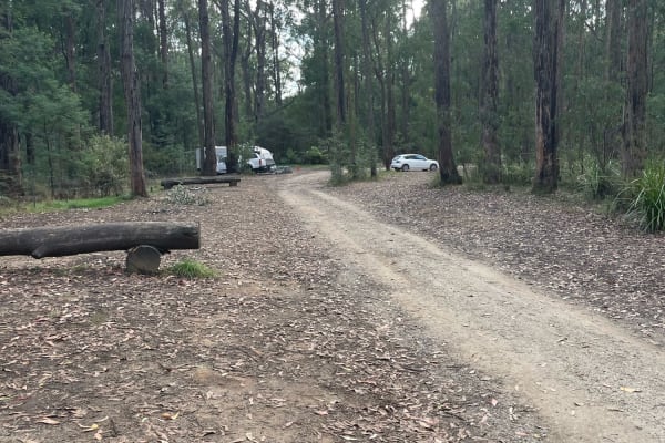 Photo by Francesca Giorgi Monfort