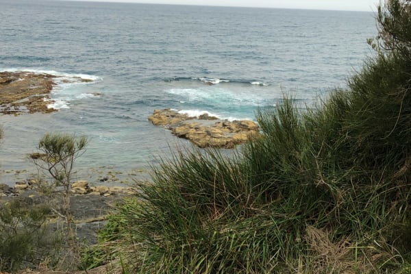 Photo by Benjamin A.