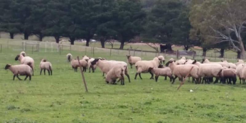 Photo by Jenni-Dawn B.