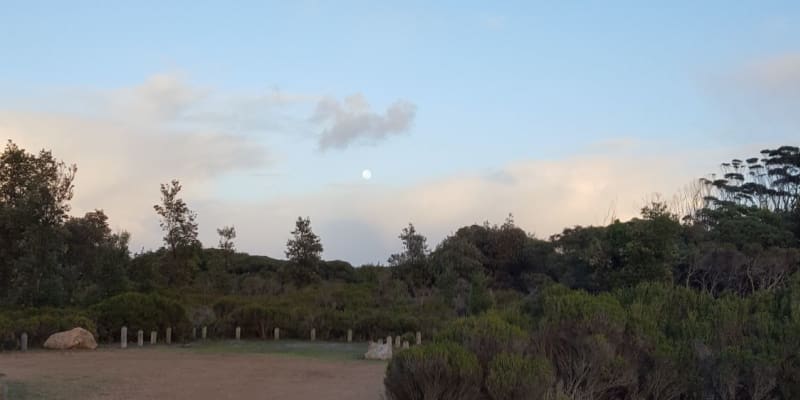 Photo of Pettmans Beach