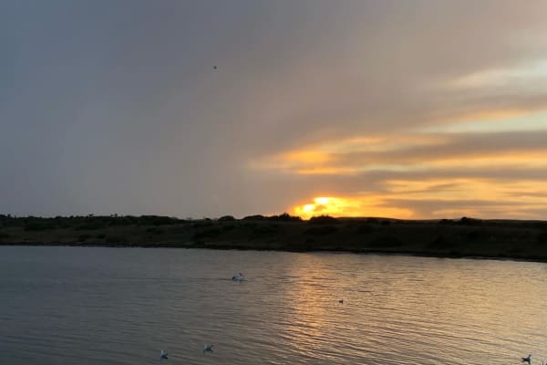 Photo by Brucethegoose