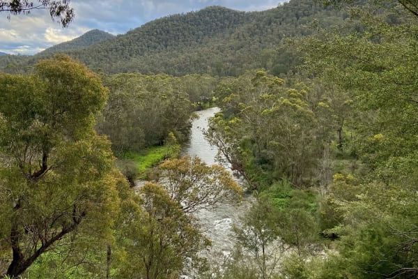 Photo by Courtney  Krause