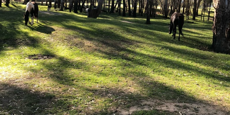 Photo by Rhiannon W.