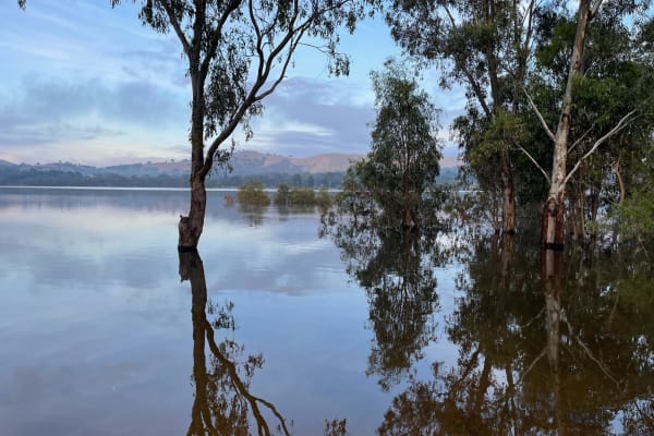 Photo by Blue Staffy Camper