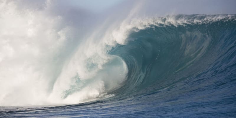 Photo by Michelle K.