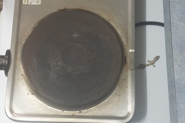 Photo by Uncarteredterritory