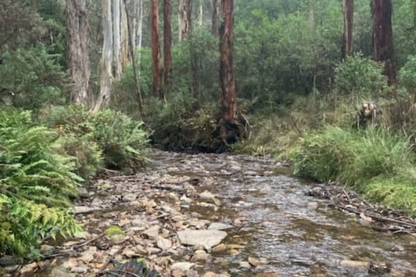 Photo by Brenden and Lisa Milkins