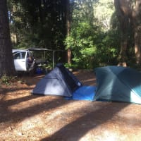 Photo by Margaret McNeill Ljubicic