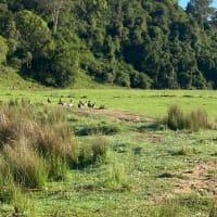 Photo by Louise Le Roux