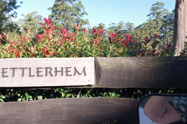 Photo by Colin van den Hoff